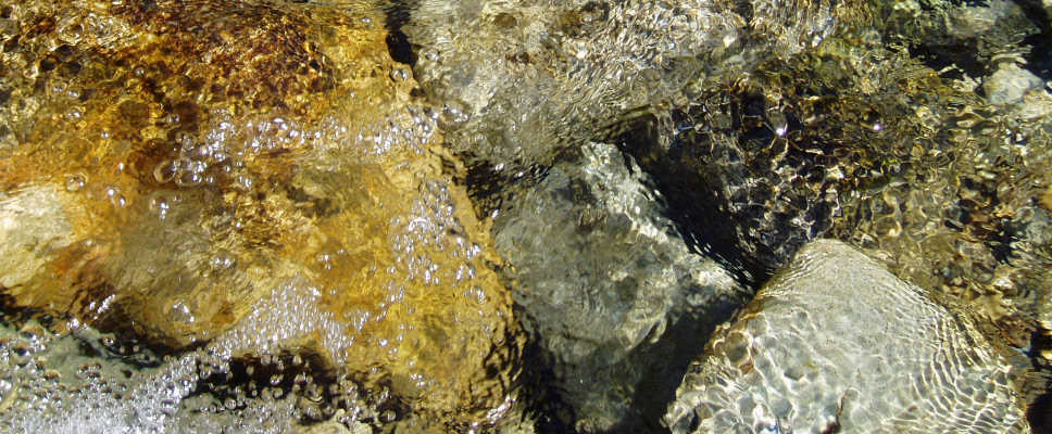 Évangile de la Vie parfaite