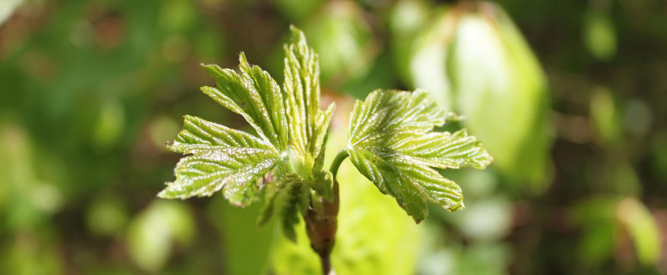 Notre santé en conscience