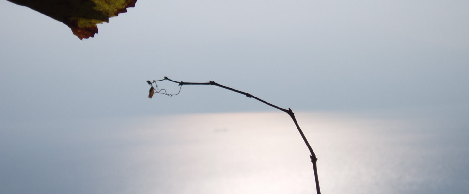 Quelque chose s'est absenté