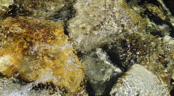 E-books en français