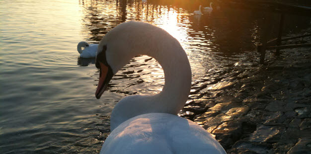 Littérature française