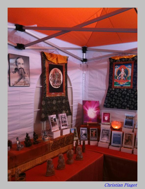 Mednat 2011