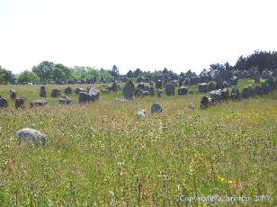 Carnac