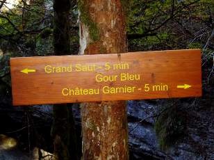Gour Bleu