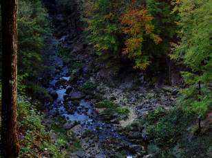 Grand Saut