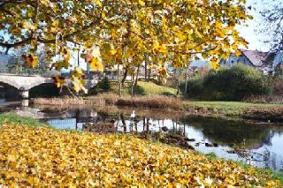 Rveries d'automne 