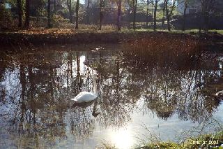 Rveries d'automne 