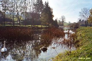 Rveries d'automne 