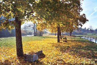 Rveries d'automne 
