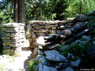Crocodile 1996