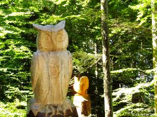 Chouette 2005