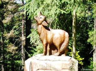 Loup 2003