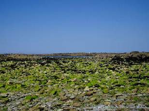 La plage du Vougot