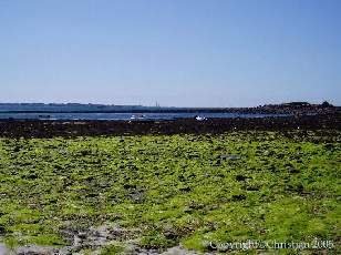 La plage du Vougot