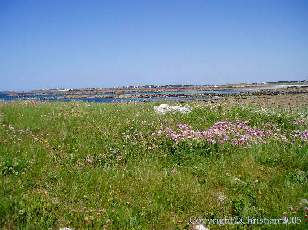 La plage du Vougot