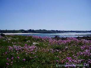 La plage du Vougot