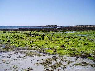 La plage du Vougot
