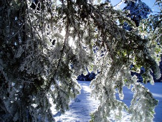Beaut de la Nature