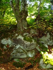 Magie et Beaut de la Nature au Pont d'Espagne !